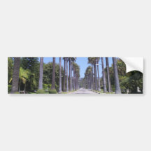 Palm trees on a street in Los Angeles Bumper Sticker