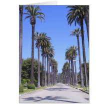 Palm trees on a street in Los Angeles Greeting Cards