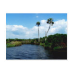 Palm Trees On The River Post Card