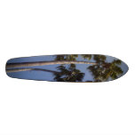 palm trees skateboards