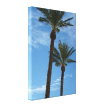 Palm Trees Stretched Canvas Prints