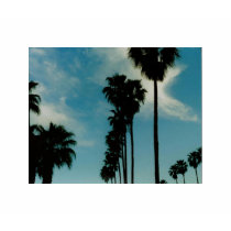 Palm Trees Shirt