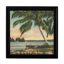 palm trees vintage jewelry box
