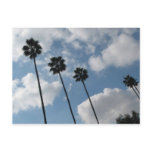 palm tres and clouds postcards