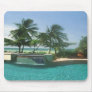 Palms between pooland sea, on a mousepad