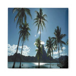 palms, clouds, water magnet
