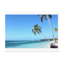 Palms in the sea post cards