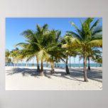 "Palms on Key Biscayne" posters