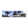 Palms & Skyscrapers Bumper Sticker