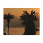 Palms @ Sunset Post Cards