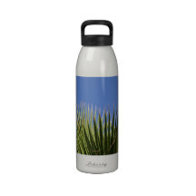 Palms Water Bottle