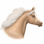 Palomino Arabian Horse Head Ornament photo sculptures