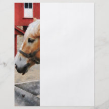 Palomino By Red Barn Flyer Design