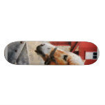 Palomino By Red Barn Skate Boards