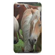 Palomino Herd iTouch Case Barely There iPod Covers