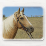 Palomino Horse 9R015D-184 mousepads