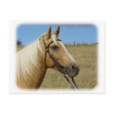 Palomino Horse 9R015D-184 postcards