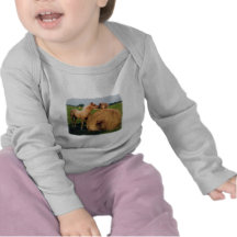 Palomino Horse and Dog Meeting Tee Shirt