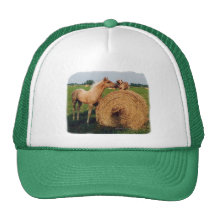 Palomino Horse and Dog Meeting Trucker Hat