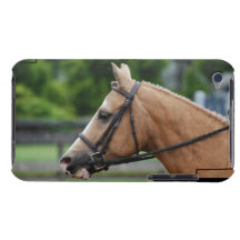 Palomino Horse iTouch Case Case-Mate iPod Touch Case