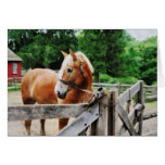 Palomino in Paddock Card