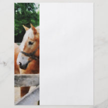 Palomino in Paddock Flyer Design