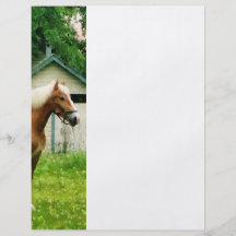 Palomino in Pasture Full Color Flyer