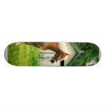 Palomino in Pasture Skate Boards