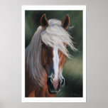 Palomino - print