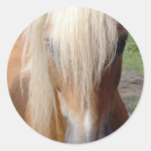 Palomino Quarter Horse Sticker