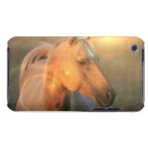 Palomino Sunlight Design iTouch Case iPod Touch Cases