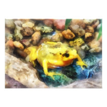 Panamanian Golden Frog Personalised Invites