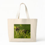 Pancake Bag