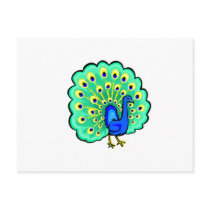 Pancho Peacock