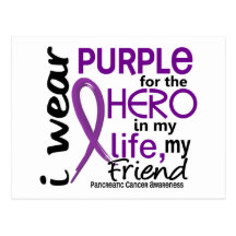 Pancreatic Cancer For My Hero My Friend 2 Post Card