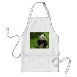 Panda aprons