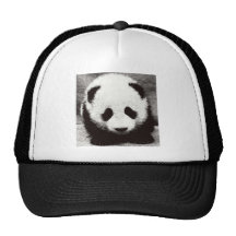 Panda Artwork Mesh Hat