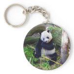Panda at the San Diego Zoo Key Chains