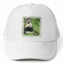 Panda Baseball Cap Hat