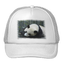 Panda Bear Baseball Hat