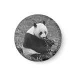 Panda Bear (black & white) magnets