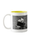 Panda Bear (black & white) mugs