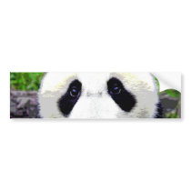 Panda Bear Bumper Sticker