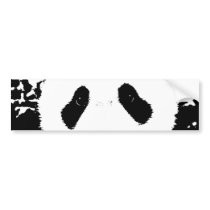 Panda Bear