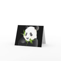 Panda Bear