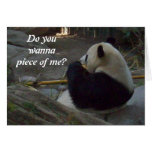 Panda Bear Eating Bamboo Greeting Card