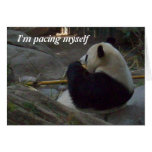 Panda Bear Eating Bamboo Greeting Card