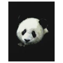 Panda Bear Flyer