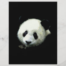 Panda Bear Flyer