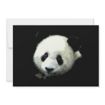Panda Bear Invitation